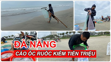 Đà Nẵng: Cào ốc ruốc kiếm tiền triệu mỗi ngày | Báo Người Lao Động