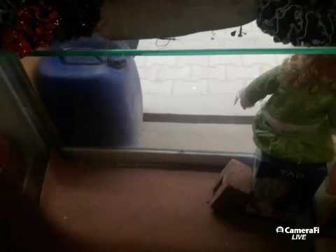 نجیبہ فیض انٹروی بے شکریہ ھمدرد ٹی وی 