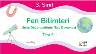 3. Sınıf Fen Bilimleri 5 Duyu Organımız Ünite Tekrarı