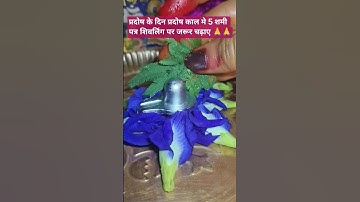 प्रदोष के दिन प्रदोष काल मे 5 शमी पत्र शिवलिंग पर जरूर चढ़ाए #mahadev #trendingshorts #viralvideo