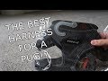 The best harness for a pug!? The best harness for a pug!?