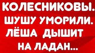 Колесниковы// Шушу уморили. Леша дышит на ладан... // Обзор стрима//