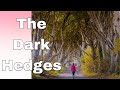 The Dark Hedges in Game of Throne | Travel Vlog