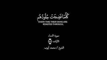 [إِنَّ الَّذِينَ كَفَرُوا بِآياتِنا سَوْفَ نُصْلِيهِمْ ناراً كُلَّما نَضِجَت..] النساء ٥٦ محمد أيوب