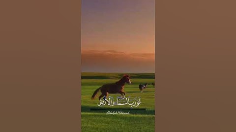 القارئ إسلام صبحي||وفي السماء رزقكم وما توعدون||😴🌹