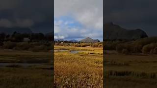 🌄 Epic Mountain Trails! | Calm Walk in Non-Touristic Norway | Path Through the Seasons
