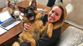 Get a dog, these moments you will have ! Funniest Dog and Human 2023 by MAI PM 45,371 views 10 days ago 10 minutes, 41 seconds