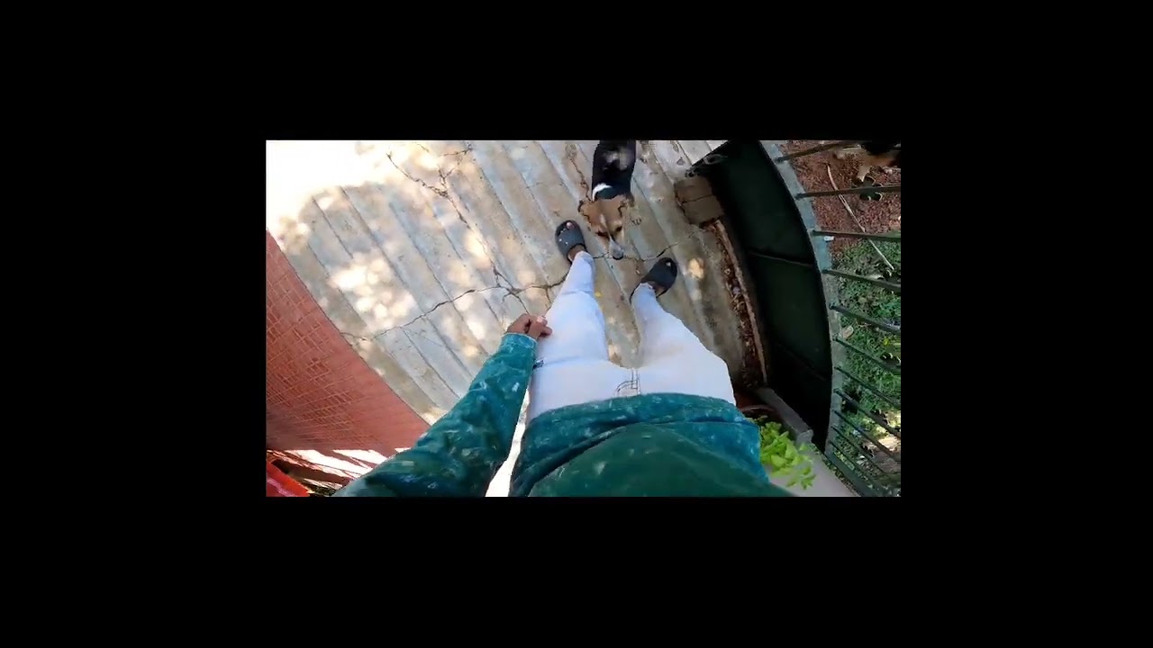 dai dai வெளியவா da 🐕 | vetri's zone |