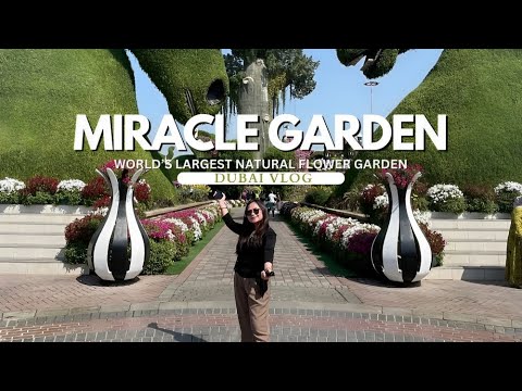 We visited Dubai’s Miracle Garden! 🌺 🇦🇪 | World’s Largest Natural Flower Garden