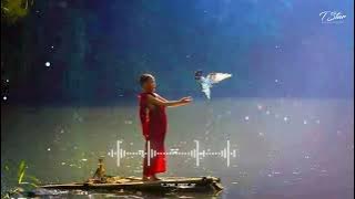 Hans Ha Kunacha Efx Audio Edit || Buddha HD Status || 4k video || #buddha