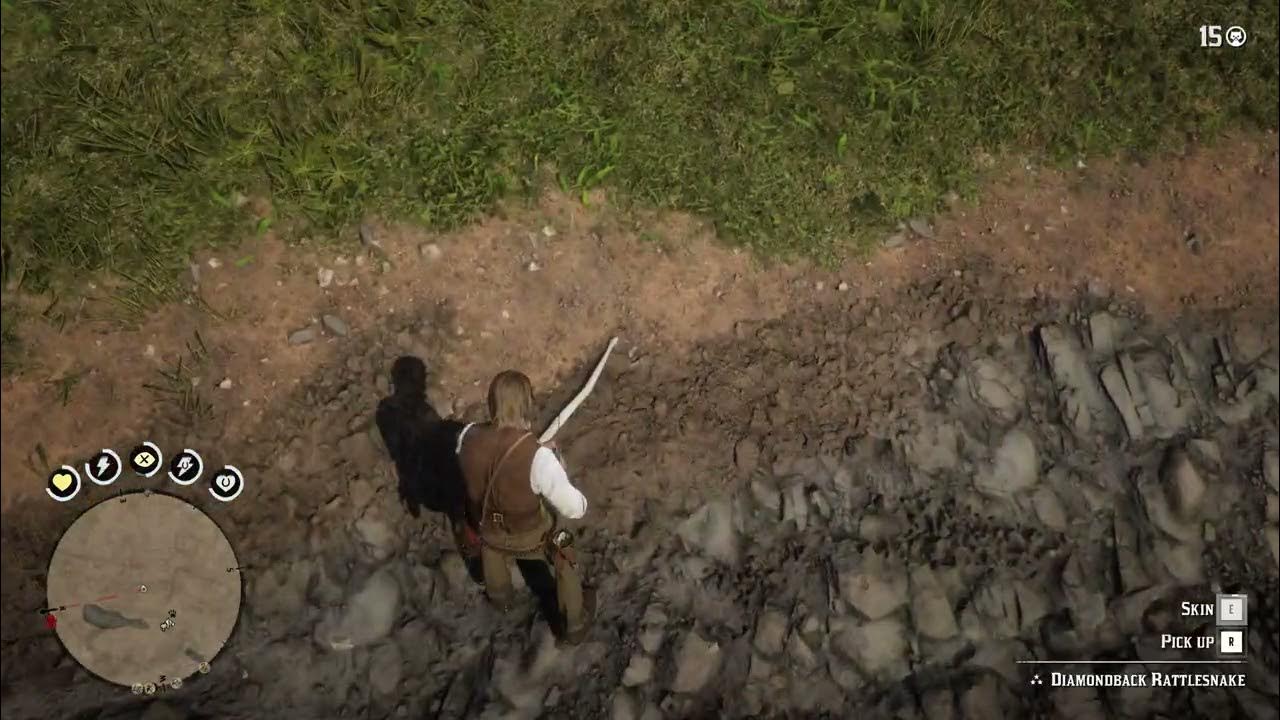 138. Timber Rattlesnake location RDR2 YouTube