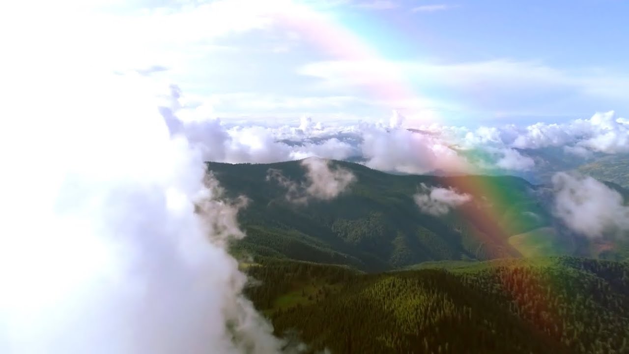 Teddy G Gatto - Born in America