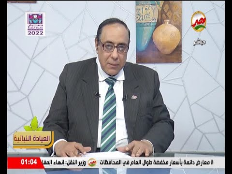 معاملات ما قبل وما بعد حصاد البنجر