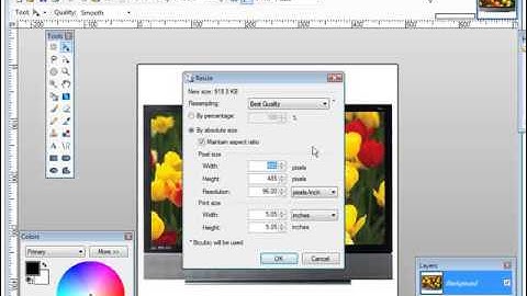 How to Create A PayPal Custom Payment Page