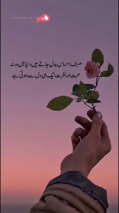 Aqwal e zareen in urdu | urdu quotes | urdu poetry | urdu shayari #shorts #short
