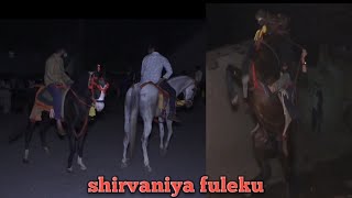 shirvaniya fuleku video part 2 #kathiyawadi #fuleku