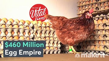 I Built Vital Farms: A $460 Million Business Selling $10 Eggs