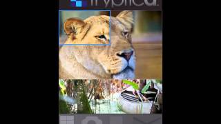 Tryptica APP Multi Import Complex Collage screenshot 3