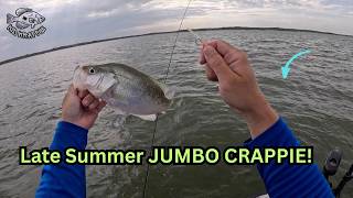 Fish HERE for LATE SUMMER JUMBO CRAPPIE! Get the NET!