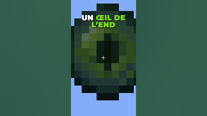 Nouveau RECORD de Speedrun sur Minecraft ! 😨