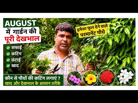 August Garden Tour 2026 | अगस्त में गार्डन की सफाई, कटिंग और हमेशा फूल देने वाले पौधे #garden #viral