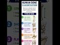 Types of bones #humananatomy #physiohub #viral #anatomy #humanbody