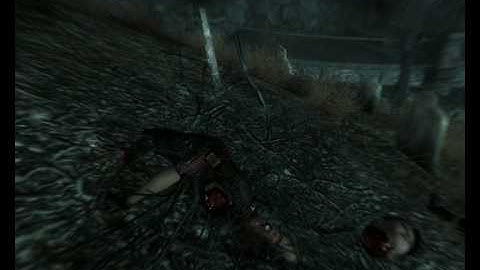 Fallout 3 - about 500 mines - mine / bomb line at cemetery