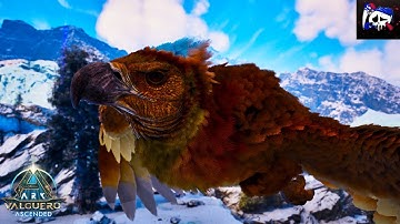 This Biome is Full of Argentavis - Ark Survival Ascended Valguero PS5 [Ep8]