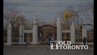 Celebrity The Connection between Trinity Bellwoods Park and NYC's Central Park Profile