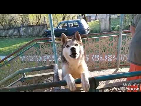 ხარაგაულის რაიონი სოფელი სხლითი