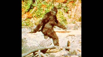 "Psychic Sasquatch";  Inter-Dimensional Vortex League, with Andy Colvin