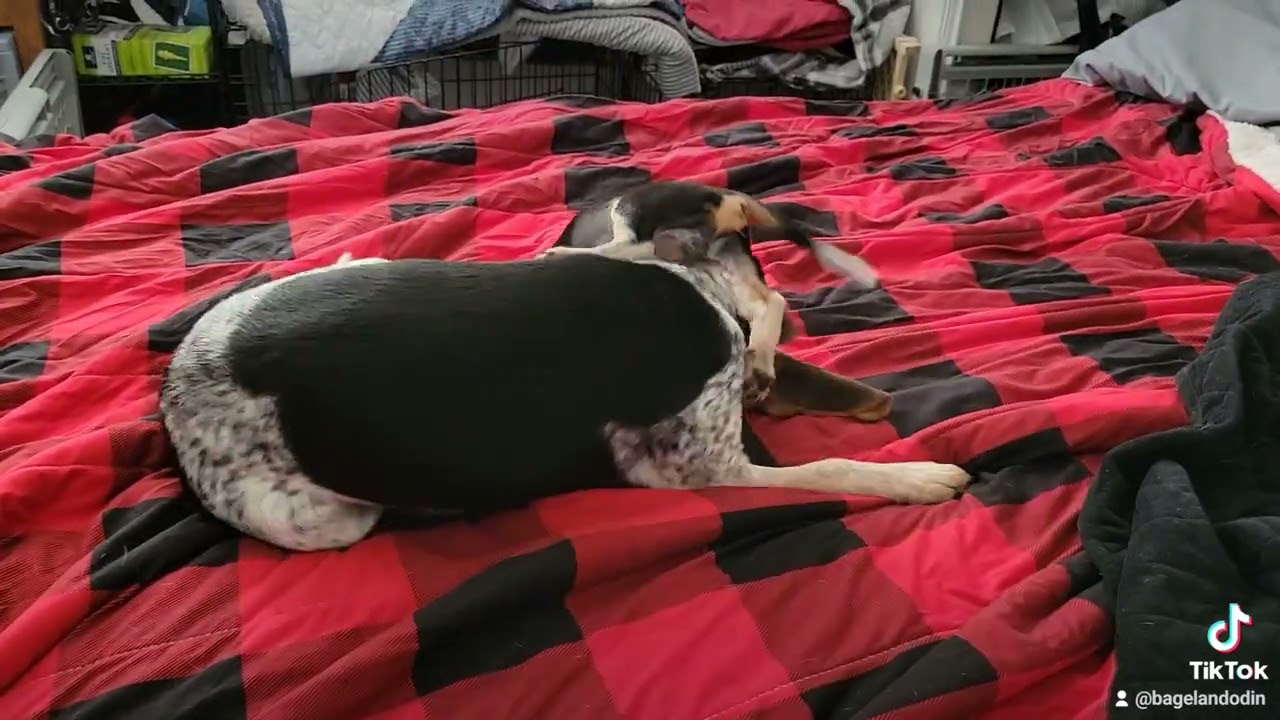 Odin fights dirty with a surprise ending