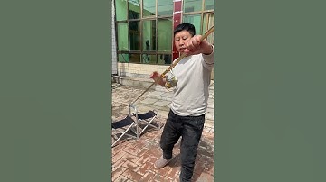 Cần câu máy câu lăng xê, săn hàng, 2,4 mét, câu cá tra, cá chép, cá mè 😍 | Fishcamp Việt Nam #3