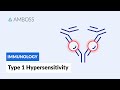 Immediate response: Type I Hypersensitivity Reaction