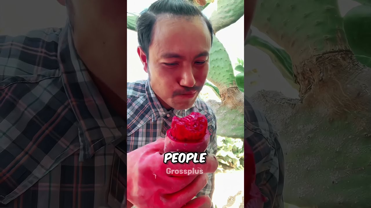 Is It Safe To Eat Cactus Shorts Science