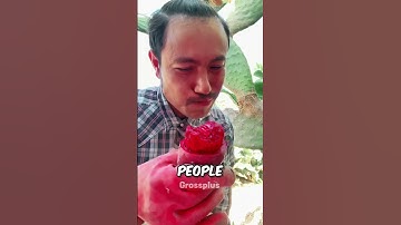 Thumbnail of Is it safe to eat cactus? #shorts #science