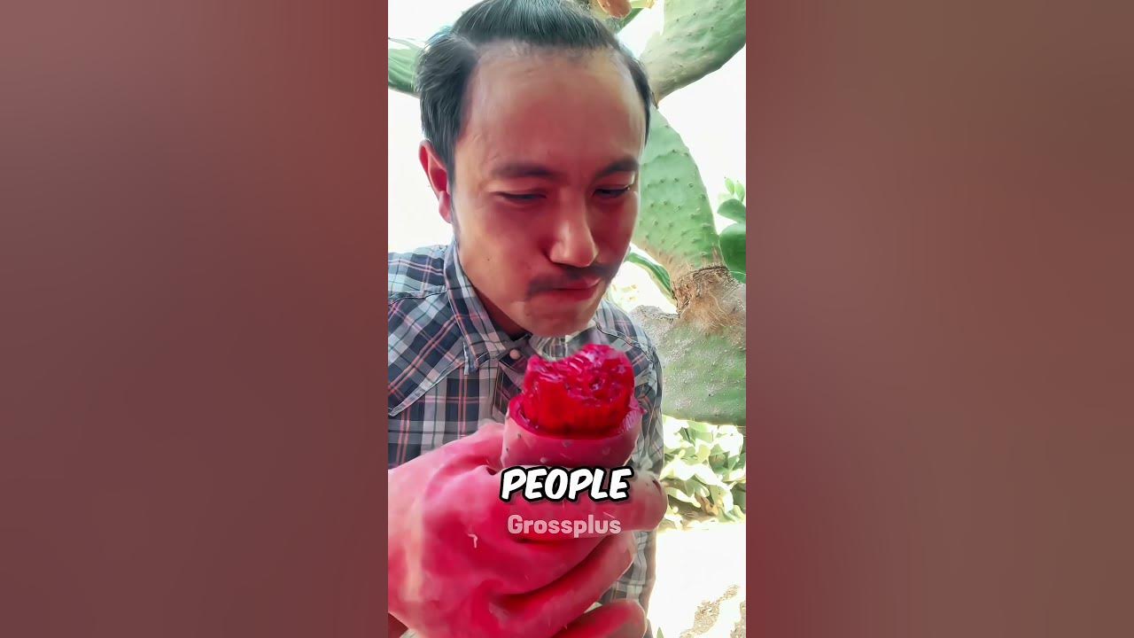 Is it safe to eat cactus? #shorts #science
