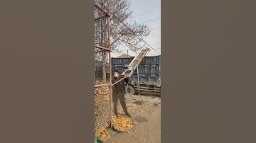 Corn belt feeding machine, the whole machine can be folded, the height can be adjusted