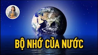 Bạn đã bỏ lỡ quá nhiều vì không hiểu NƯỚC?