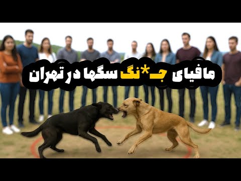 پشت پرده ای که هیچ کس تا امروز علنی نکرده قسمت دوم