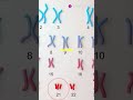 Chromosome 21 #pencis #chromosomes #researchers #professors #scientist #shorts #viralgenetics