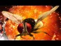 Eega - Laava Laava Video Song