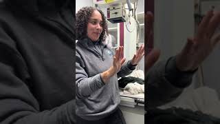 fractious cat handling explanation #cats #cat #catsoftiktok #animallover