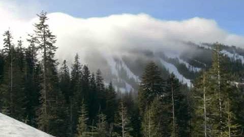 سورة الفلق بصوت هاني الرفاعي