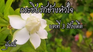 นิยายรักเรื่อง กระซิบรักข้างหัวใจ บทที่ 3 ฝังอดีต