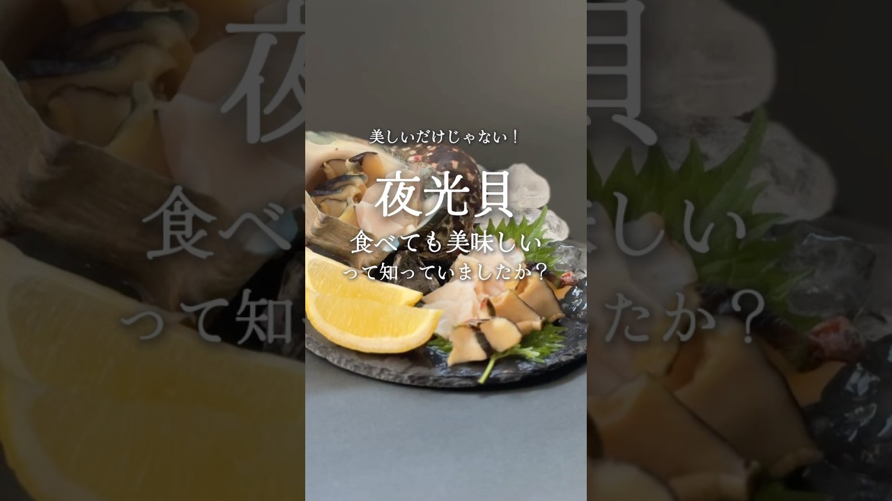 食べても美味しい「夜光貝」の魅力🐚#徳之島 #天城町 #夜光貝
