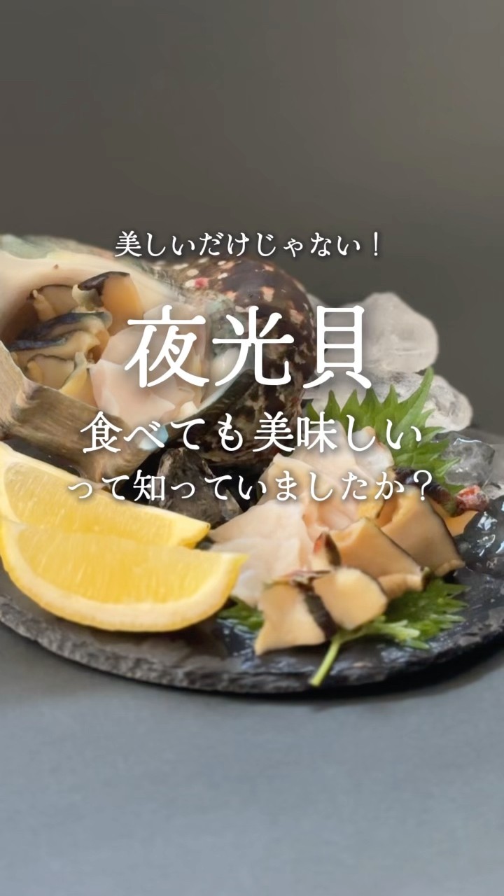 食べても美味しい「夜光貝」の魅力🐚#徳之島 #天城町 #夜光貝
