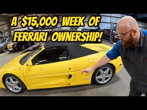 The BIGGEST REPAIR BILL the Car Wizard has ever given me. Welcome to Ferrari 355 ownership…