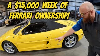 The BIGGEST REPAIR BILL the Car Wizard has ever given me. Welcome to Ferrari 355 ownership...