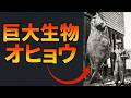 【完全版】巨大生物オヒョウが危険すぎる!!【解説動画】